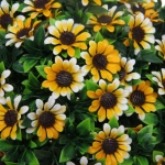 Искусственное растение шар «Самшит» цветы оранжевые D-30см Ultramarine