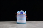 Nike Dunk Low Union Passport Pack Argon
