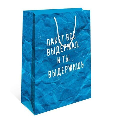 Пакет подарочный "Ты выдержишь"  26*12*32 см