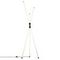Торшер Citilux Lucia CL217961
