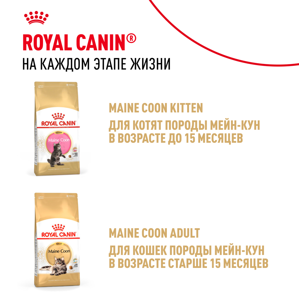 Royal Canin Maine Coon Kitten Мейн Кун Киттен Корм влажный для котят породы Мэйн Кун в возрасте до 15 месяцев соус 85г