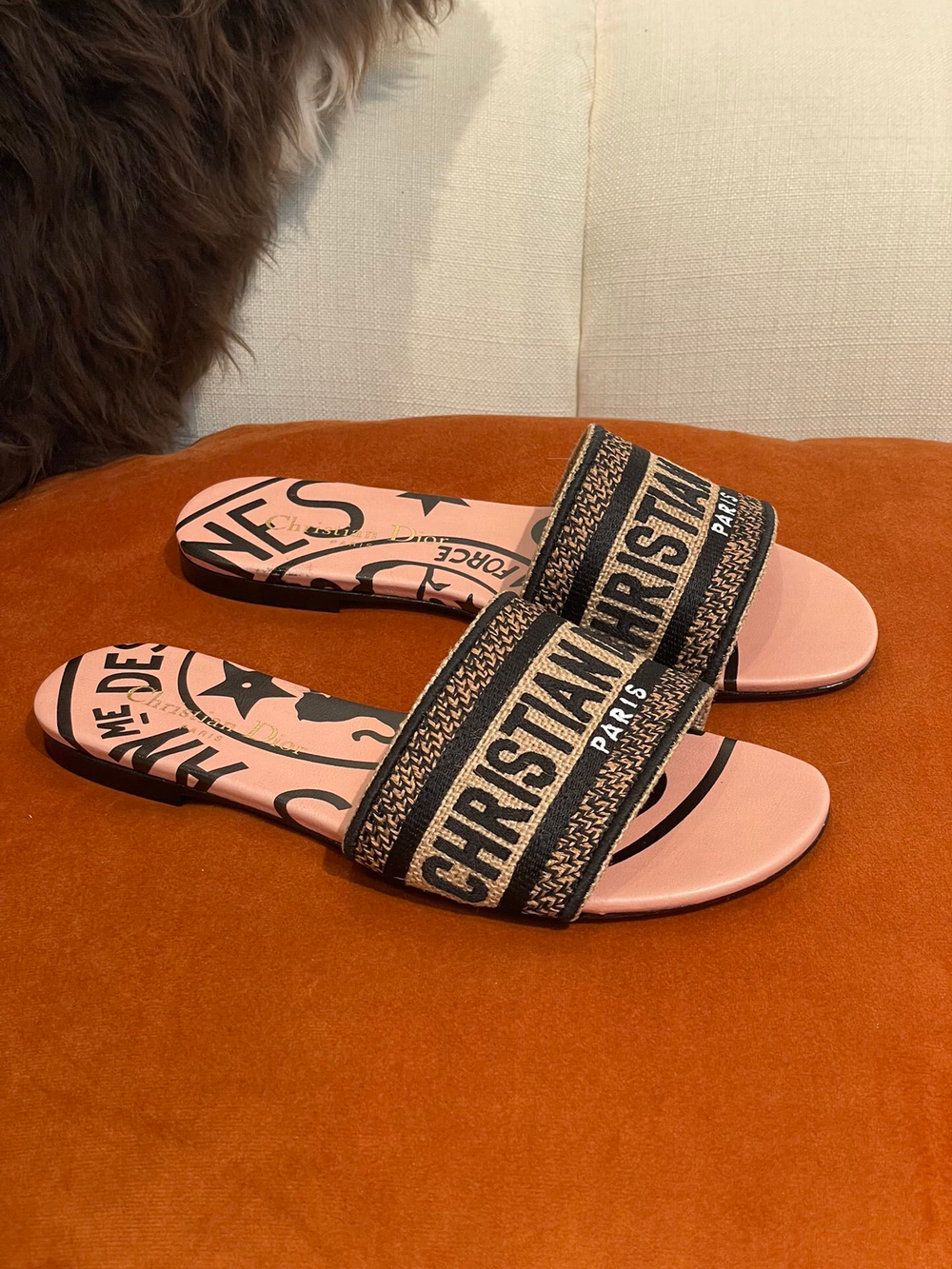 Christian Dior Dway Slide