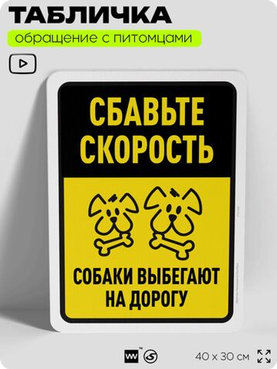 Табличка "Сбавьте скорость, собаки выбегают на дорогу" на дверь и забор, для двора, дома, подъезда, 40х30 см, Silver Plane x Айдентика Технолоджи