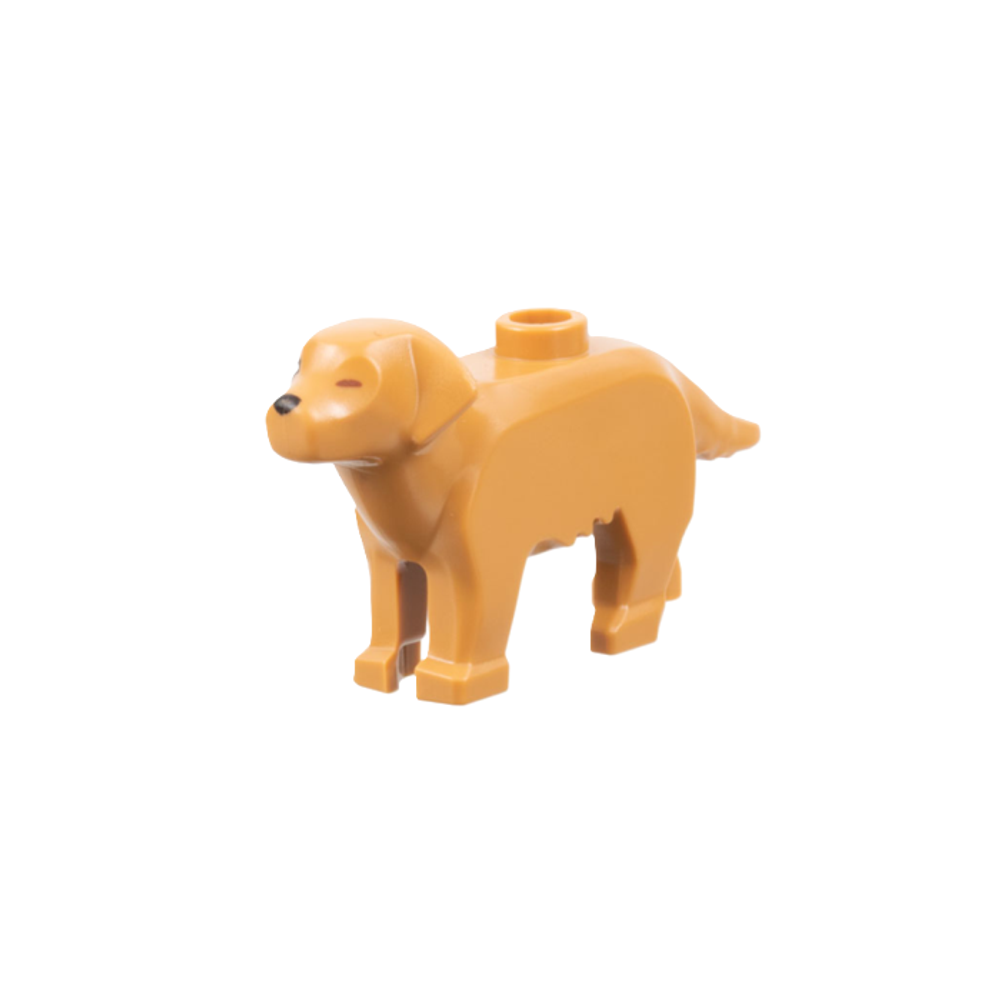 Лабрадор 69962pb02