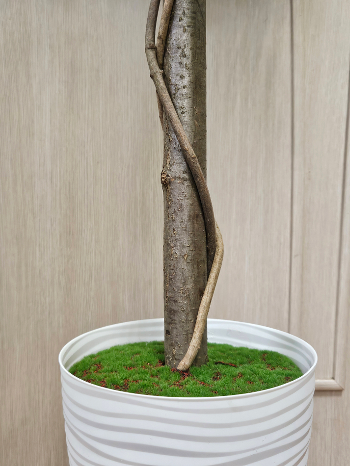 Искусственное Лимонное дерево шар 120см в кашпо