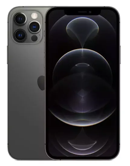 iPhone 12 Pro Max 256 GB Graphite (Графитовый)