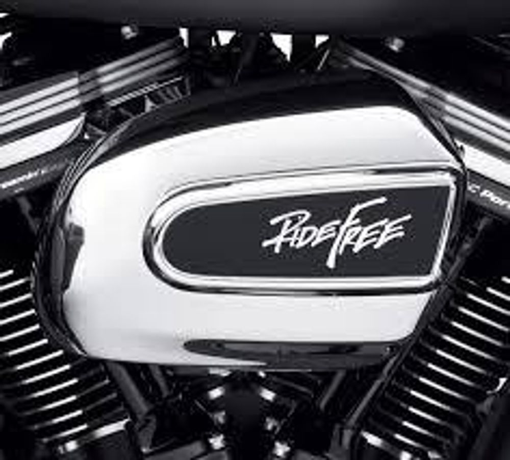 61301025 ДЕКОРАТИВНАЯ НАКЛАДКА НА ВОЗДУШНЫЙ ФИЛЬТР, ПЛАСТИК 61301025 ДЕКОРАТИВНАЯ НАКЛАДКА НА ВОЗДУШНЫЙ ФИЛЬТР, ПЛАСТИК