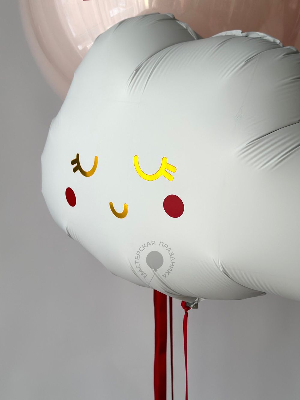 Воздушные шары на выписку для девочки №8877  Изображение4