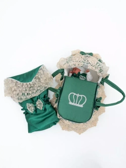 Комплект на выписку c переноской