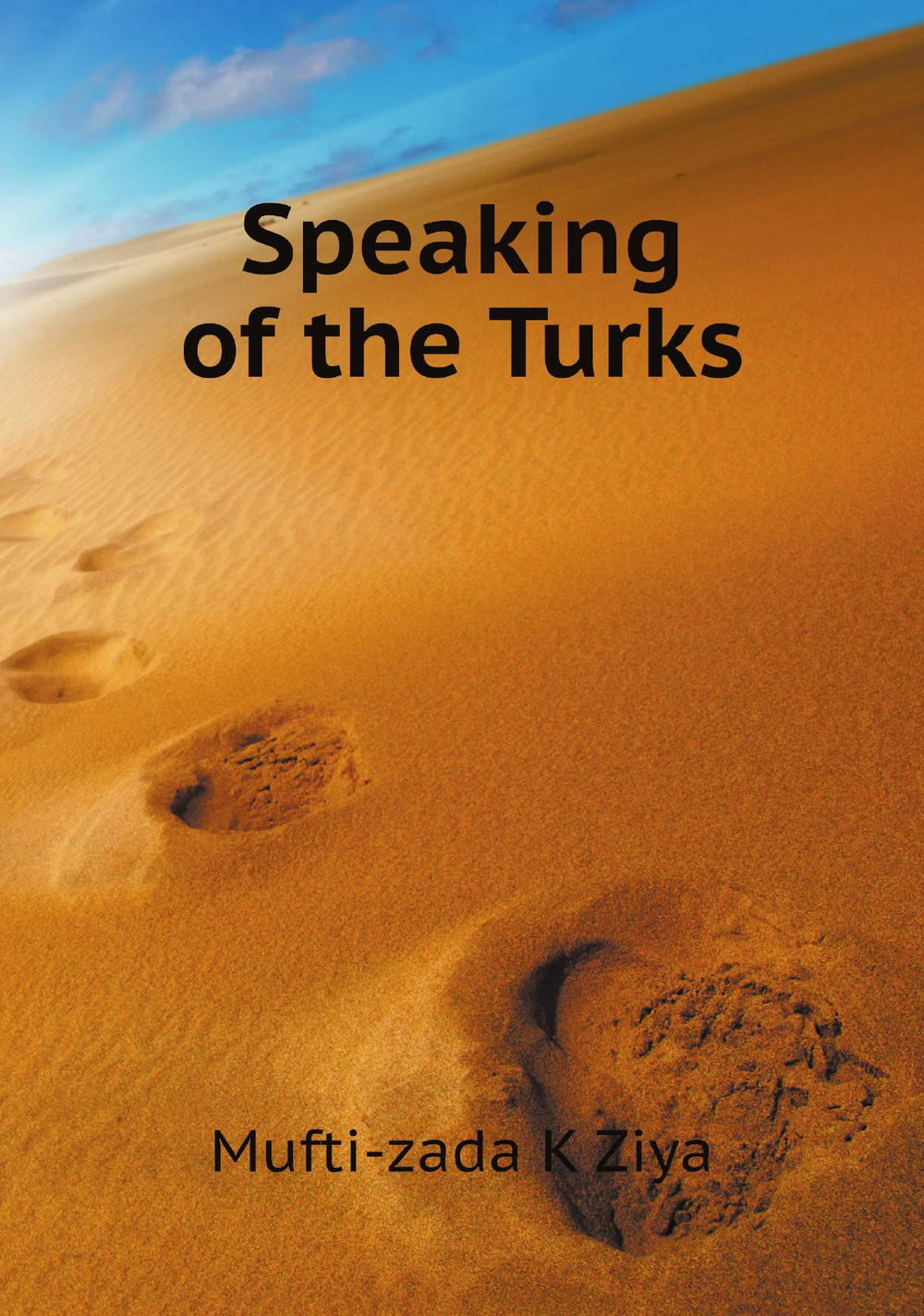 Speaking of the Turks | Mufti-zada K Ziya