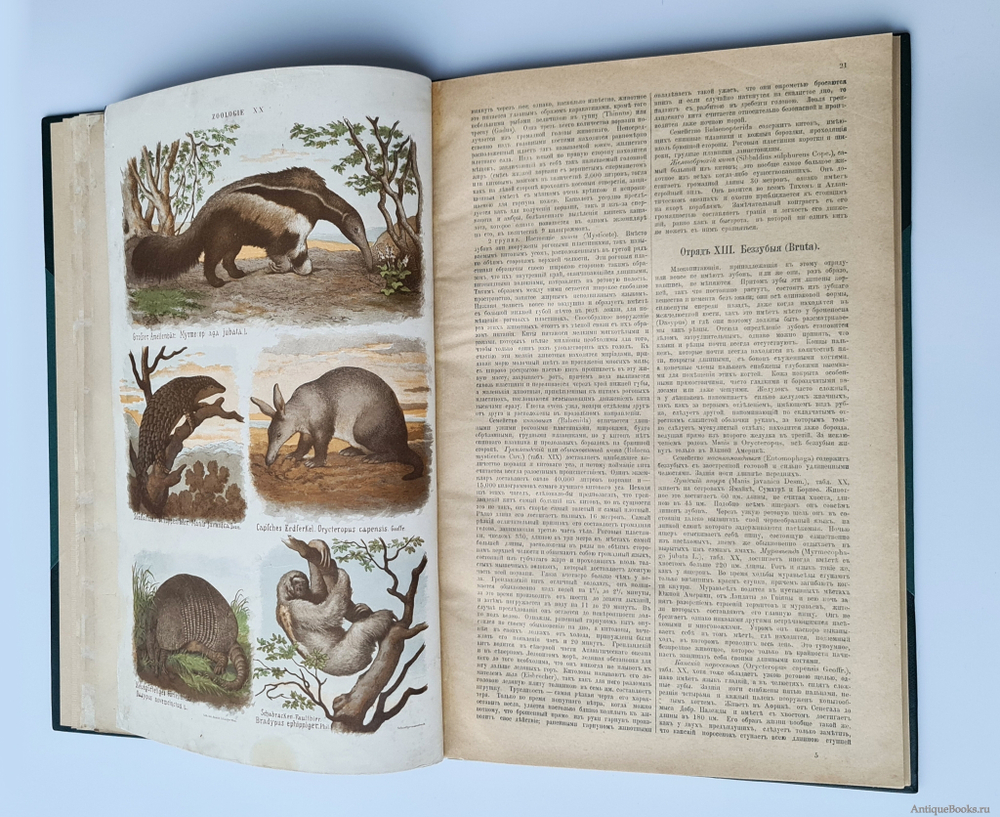 "Большой зоологический, ботанический и минералогический атлас : Handatlas der Naturgeschichte aller drei Reiche". Г. Хайек : Hayek, Gustav von. Grosser. 1888г. - антикварное издание
