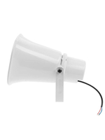 Громкоговоритель TSo-HW30