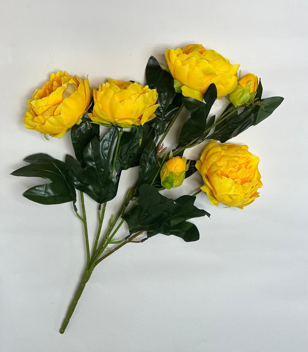 Пионы букет