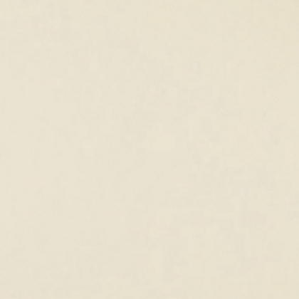 Фон бумажный FST 2,72x10m 1039 Cream (Цвет шампанского)