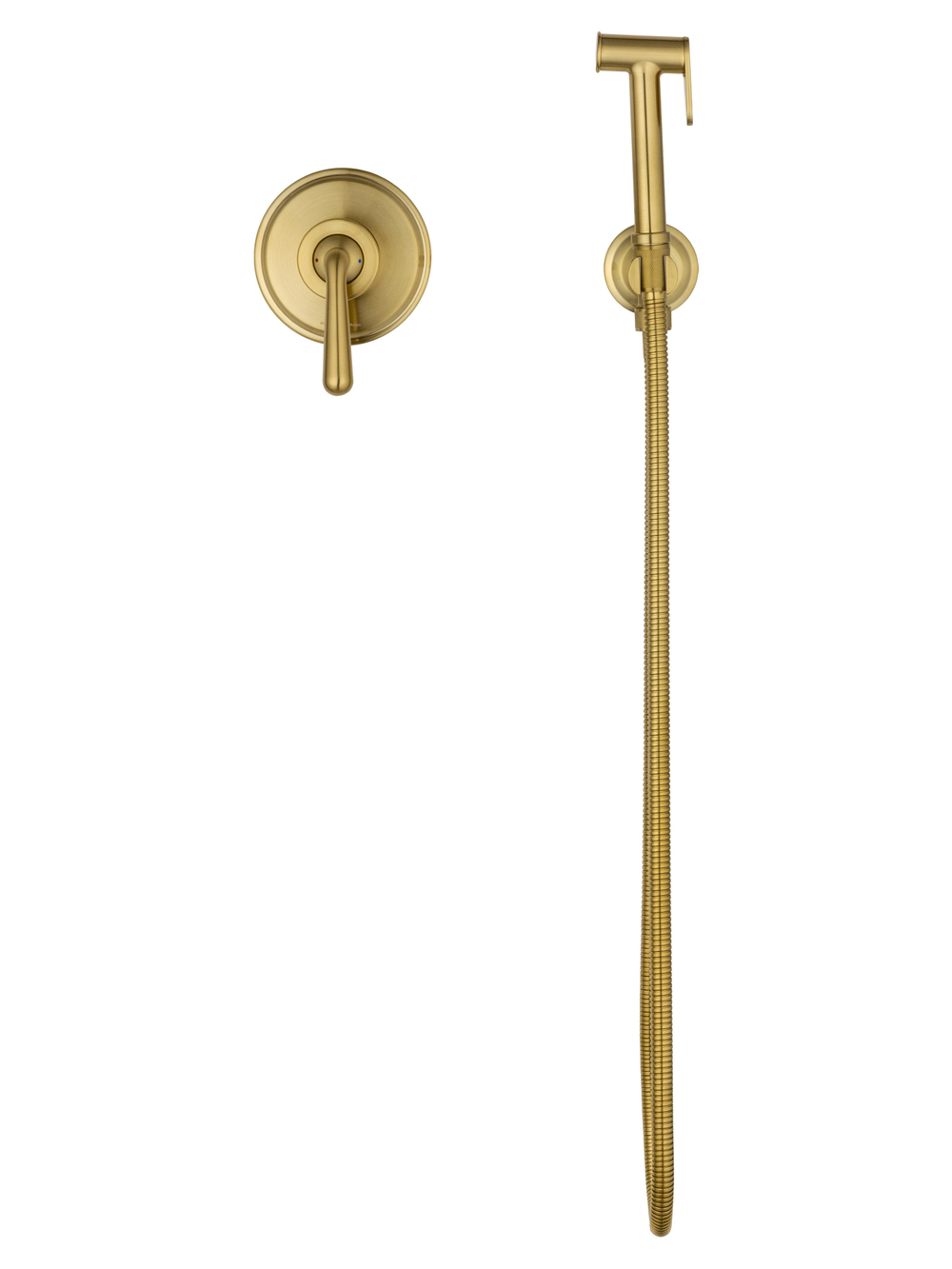 Смеситель с гигиеническим душем встраиваемый WONZON & WOGHAND STEAM, Брашированное золото (WW-88849008-BG)