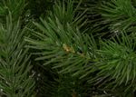 Ель искусственная «Алтея» (Литая хвоя) 230 см / 2,3 м