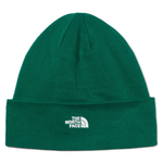 TOA5FW1NL1 Шапка The North Face Norm Beanie Green