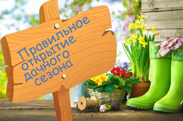 Готовимся к открытию дачного сезона Готовимся к открытию дачного сезона