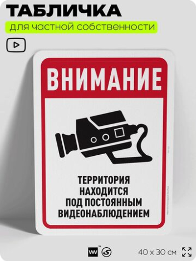 Табличка для частной территории "Внимание, территория находится под видеонаблюдением", на дом, для участка, организаций, предупреждающая, 40х30 см, Silver Plane x Айдентика Технолоджи