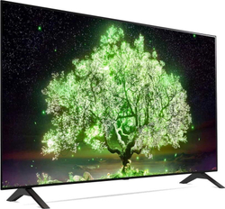 Телевизор LG 48" OLED48A1RLA OLED