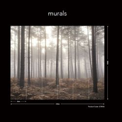 Atmosphere панно