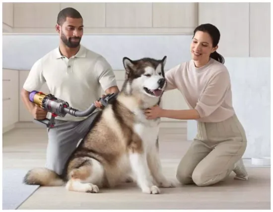 Набор насадок Dyson Pet Grooming Kit для ухода за домашними животными