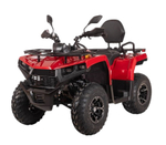 Квадроцикл BIZON YK250 Lux EFI