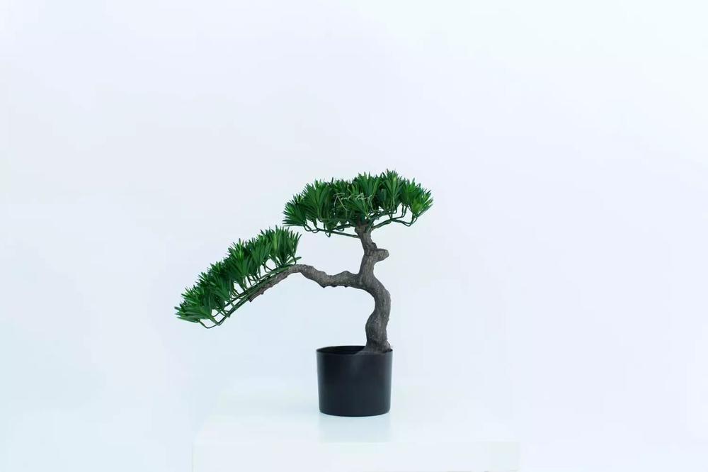 Бонсай листовой в. 45 см/ ш. 50 см (черный ствол)