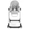 Стульчик для кормления Peg-Perego Siesta Follow Me Ice