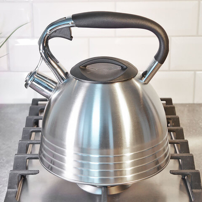 Чайник 2,7л нерж со свистком, матовый, ручка с силиконовым покрытием, индукция, "Daniks" PR-2201