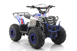 Квадроцикл MOTAX Grizlik A110