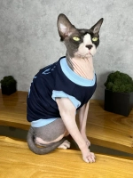 Одежда для кошек сфинкс и собак