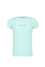 Футболка Calvin Klein Jeans - мятный(IG0IG01470)
