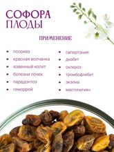 Софора плоды