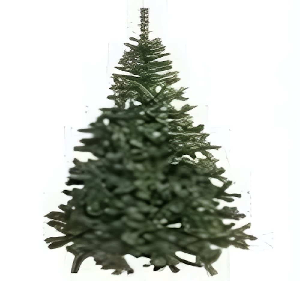 Ель "Зимняя красавица 11" 210см.