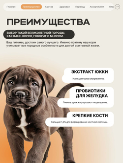 Корм сухой для щенков породы Кане корсо, с индейкой, 12 кг, QUATTRO