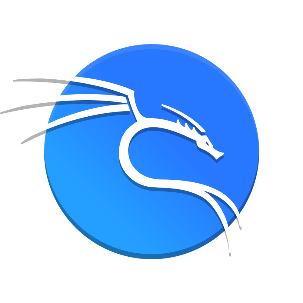 Kali Linux 2025.3 (с лицензионным договором присоединения) (Для платформы x86-64 / USB)