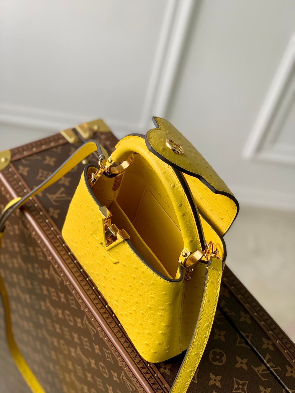 Louis Vuitton Capucines Mini