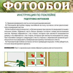 Фотообои Vostorg № 287 Березовая роща 392х260см