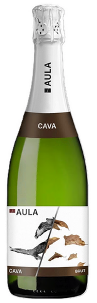 Вино игристое Аула Кава Брют