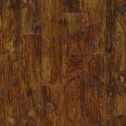 Eastern Hickory 57885