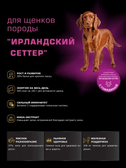 Корм для щенков Ирландский сеттер, с говядиной, 12 кг