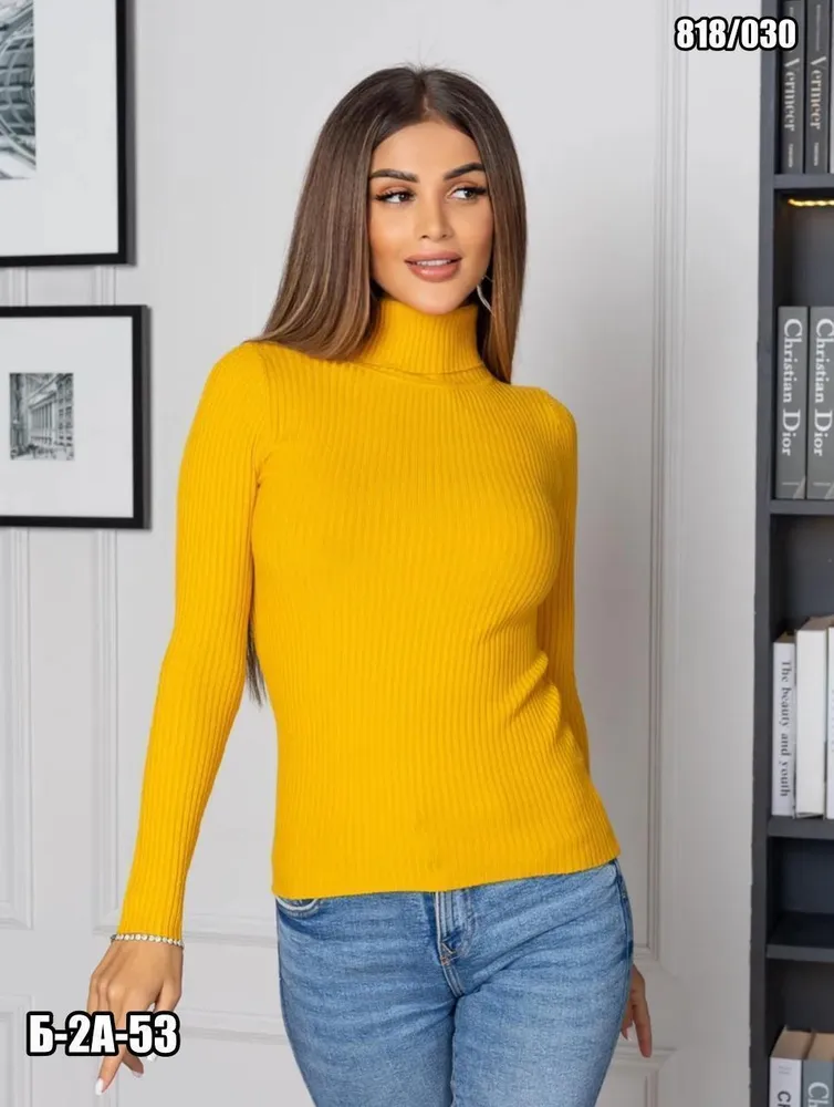 Водолазка 2574505 Fabrika