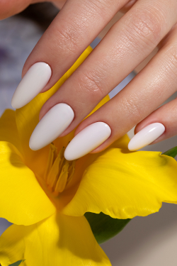 Monami French Meadow Гель-лак Silk Whisper, 8м