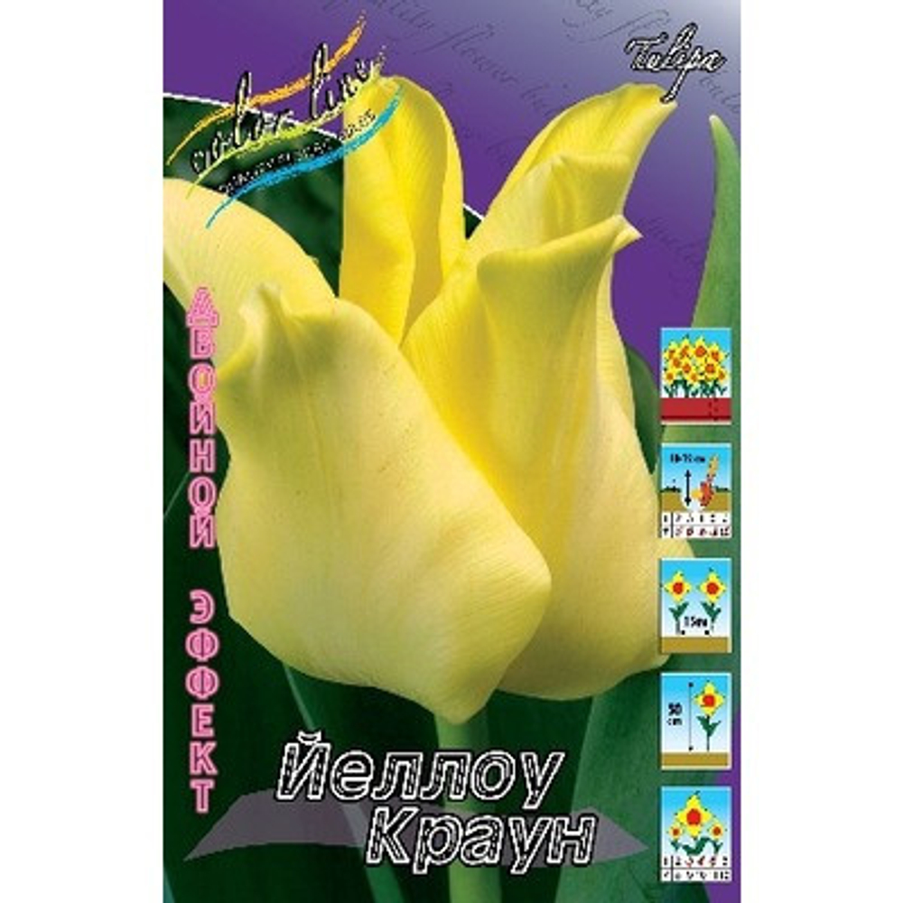 Тюльпан Йеллоу Краун