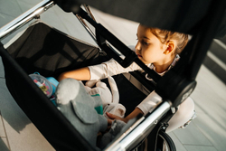 Прогулочная коляска Labala Raiz Lite Black