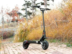 Электросамокат Dualtron 2S (60V 18Ah)