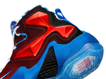 Заказать Nike LeBron 13 GS Mini Hoop
