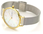 Женские наручные часы Skagen SKW2702