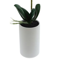 GAEM Цветочная композиция, L W H56 см